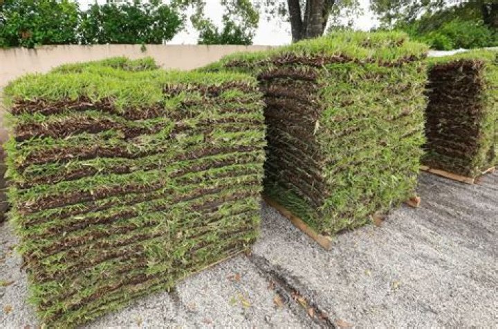 How much grass comes on a pallet?