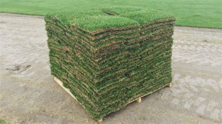 How much is a pallet of grass at Home Depot?