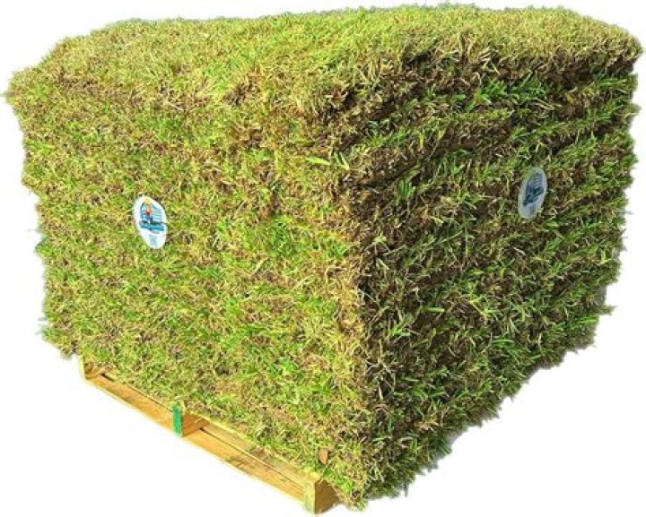 How much is a pallet of St Augustine grass?