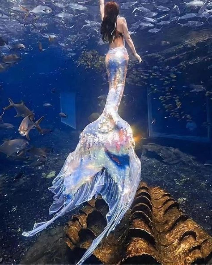 How much is a real mermaid tail?