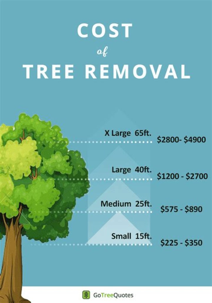 How much should a tree cost to remove?