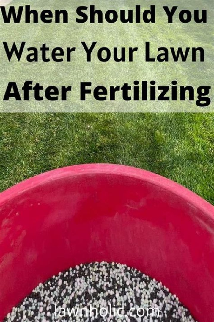 How much should I water my lawn after fertilizing?