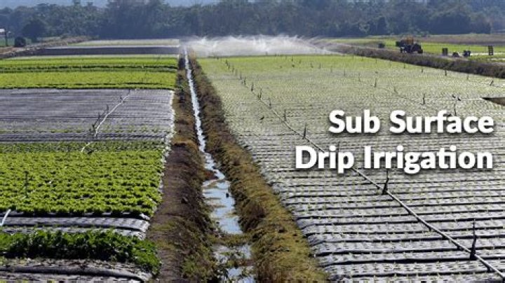 How often should irrigation system run?