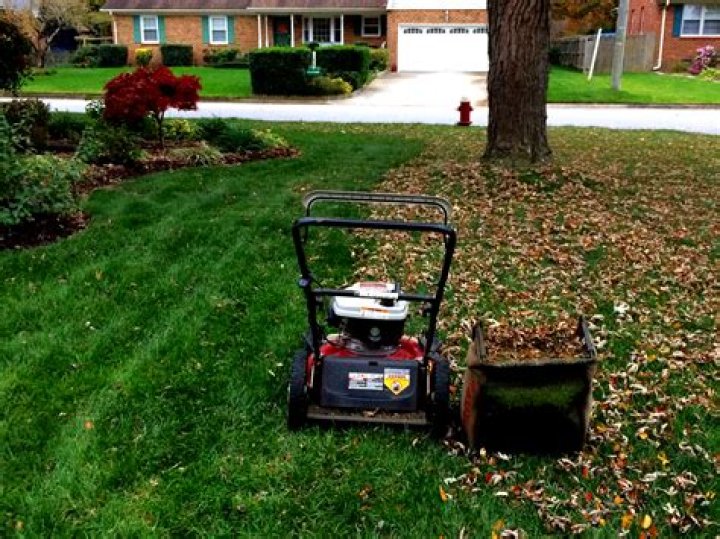How often should you mow your lawn in the fall?