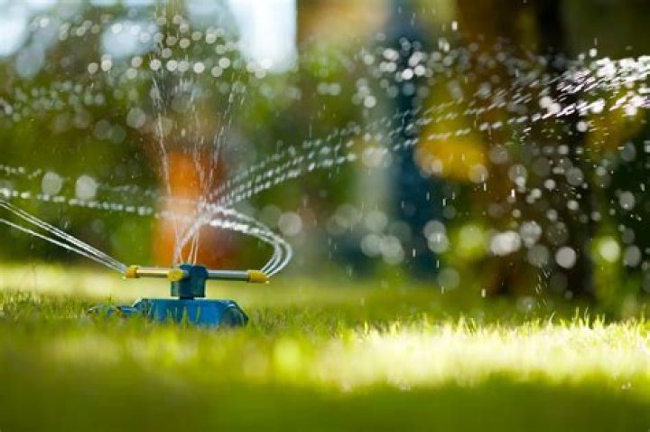 How often should you water pasture grass?