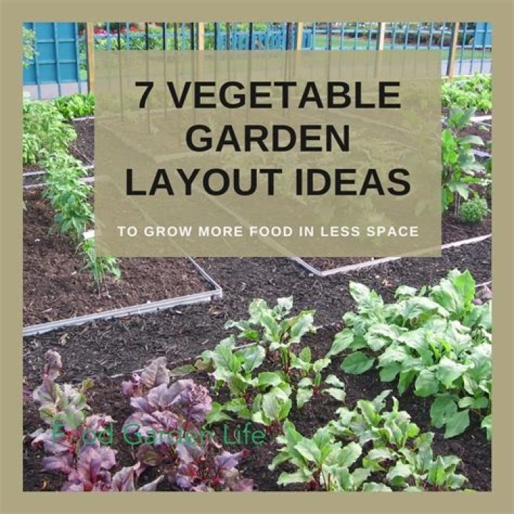 How should I set up my vegetable garden?