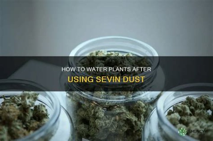 How soon can you water after using Sevin?