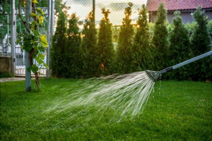 How soon should I water my lawn after fertilizing?
