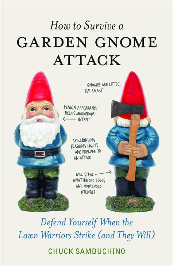 How to survive an attack from a garden gnome?