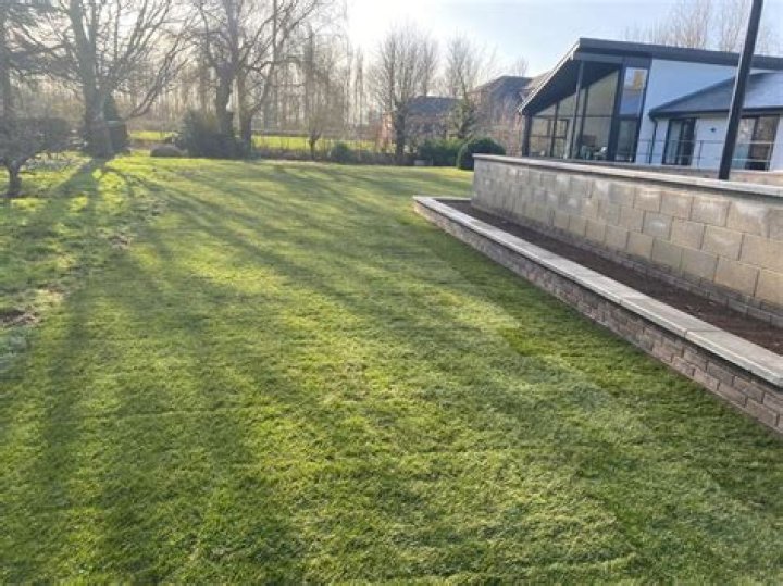 How to take care of a newly laid lawn?