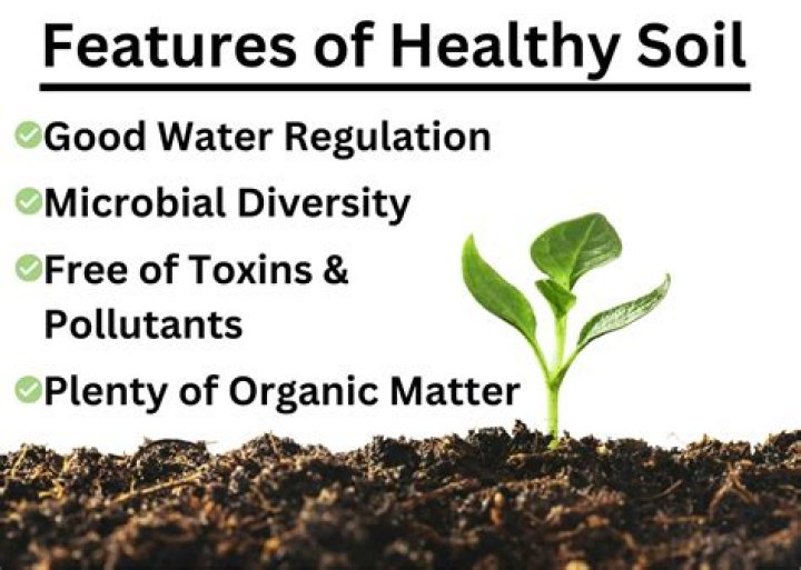 How would you identify a good soil for planting?