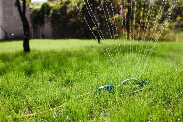 Is 20 minutes long enough to water grass?