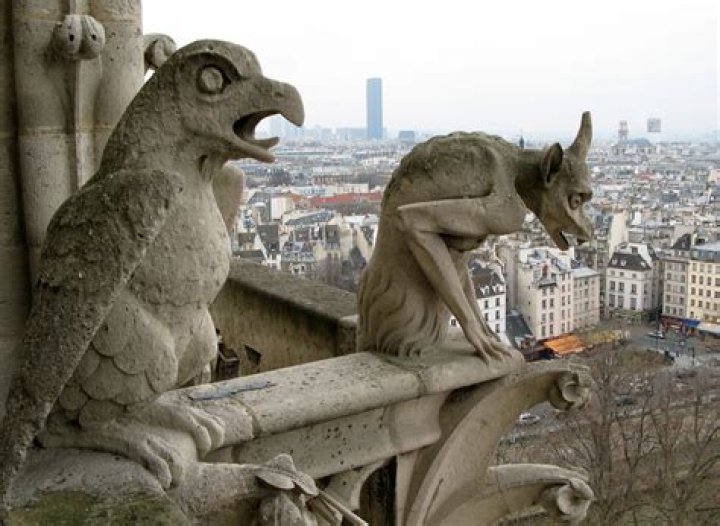 Is a gargoyle a real animal?