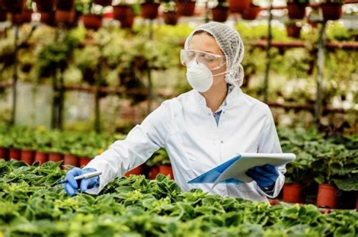 Is agronomist a career in agriculture?