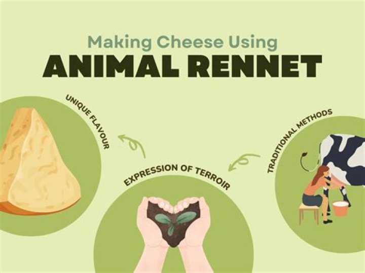 Is animal rennet in crisps halal?