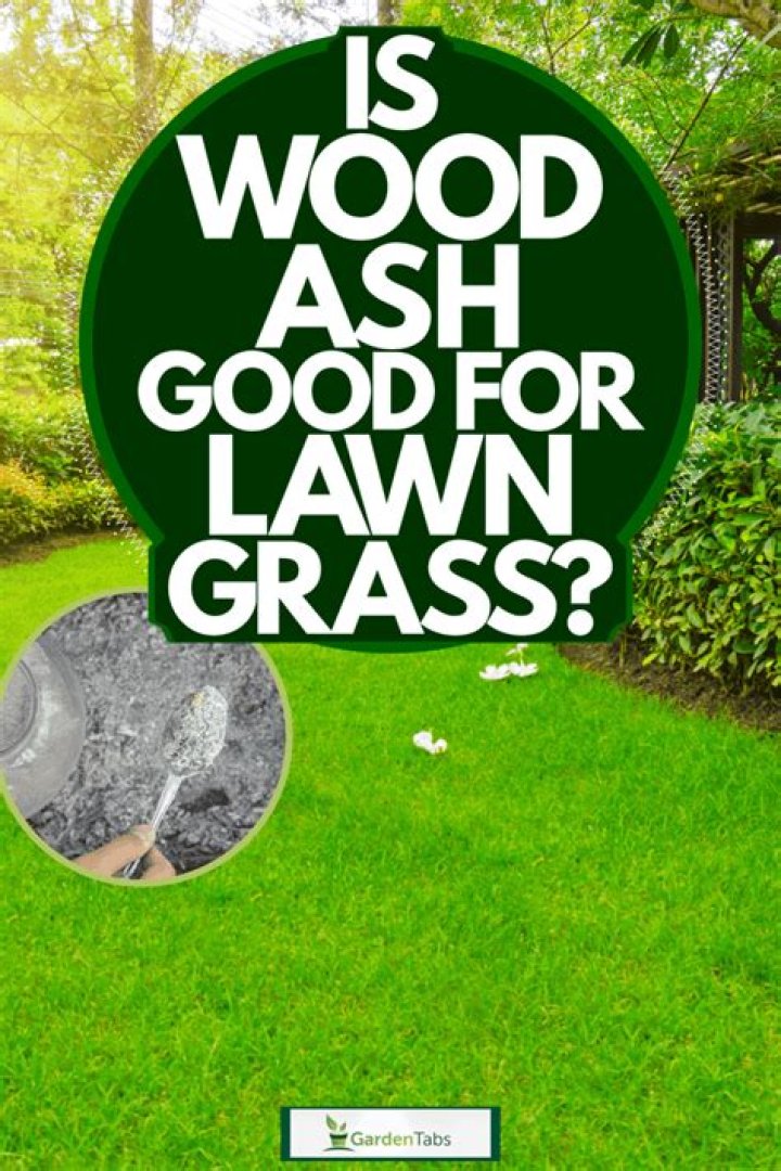 Is BBQ ash good for the lawn?