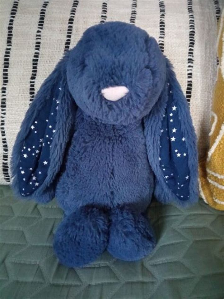 Is Blue Bunny still in business?
