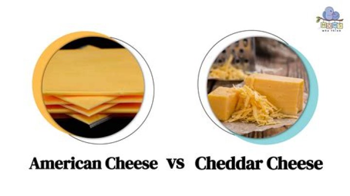 Is Cheddar cheese better than American cheese?