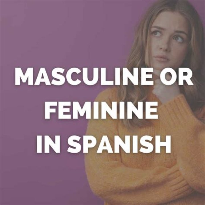 Is cheese in Spanish masculine or feminine?
