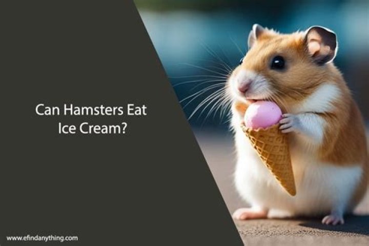 Is ice cream safe for hamsters?