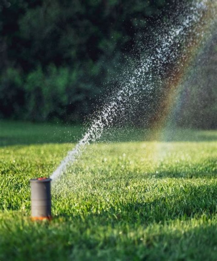 Is it bad for the environment to water your lawn?