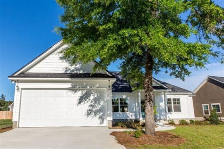 Is it bad to have a tree next to your house?