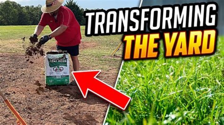 Is it bad to let your grass go to seed?