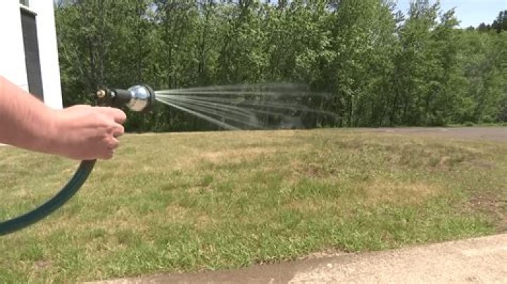 Is it bad to water lawn in morning?