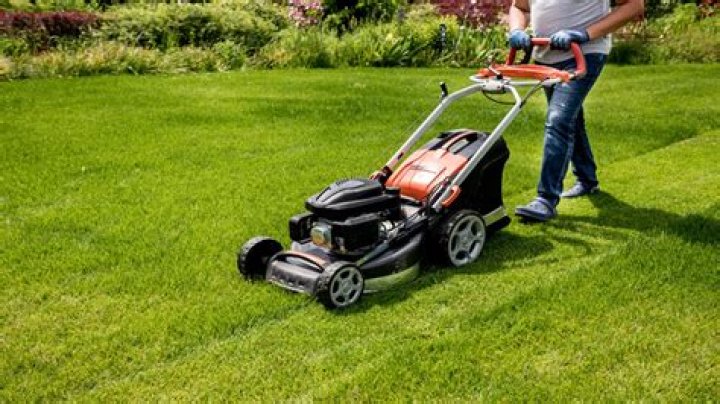 Is it good to mow your lawn at night?