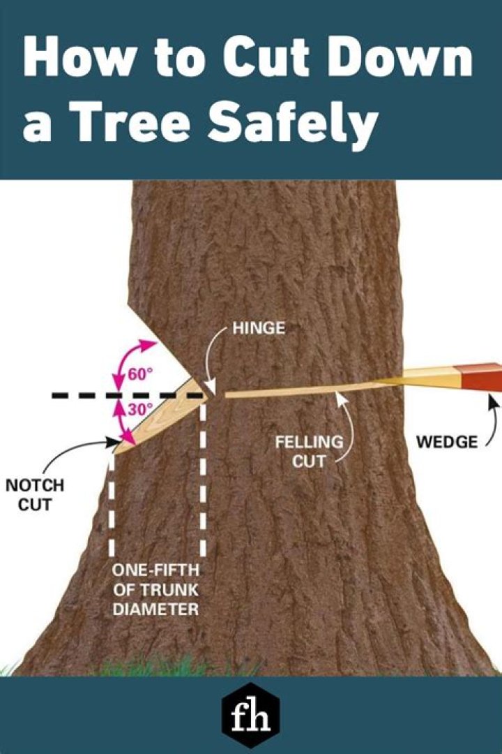 Is it legal to cut down a redwood tree?
