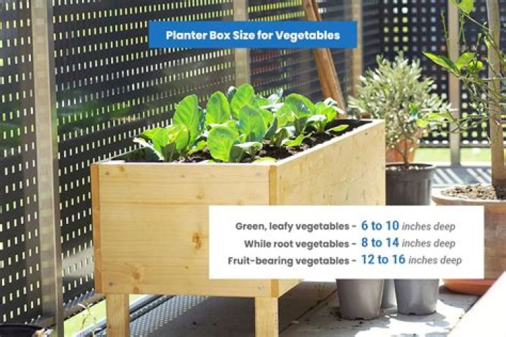 Is it safe to line a vegetable planter with plastic?