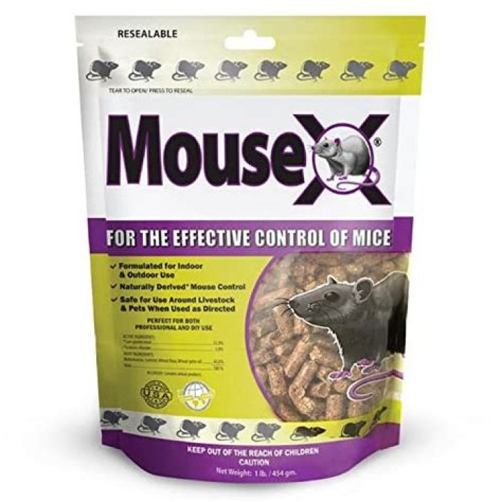 Is it safe to use mouse poison pellets?