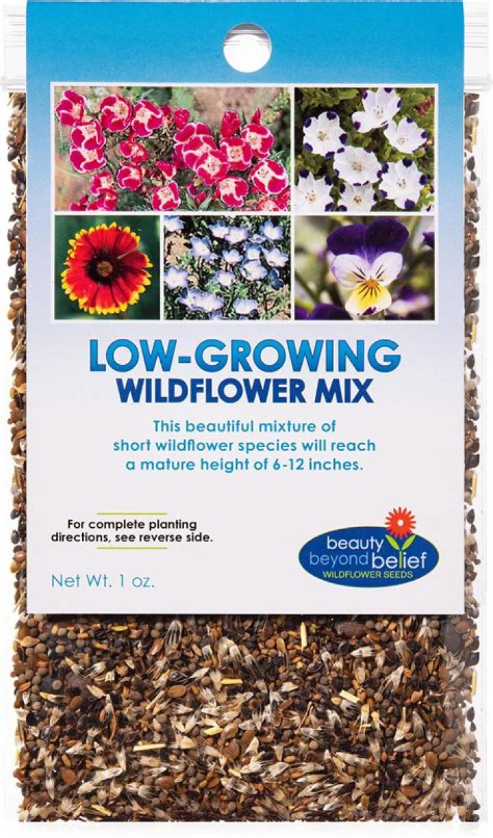 Is it too early to plant grass seed in Michigan?
