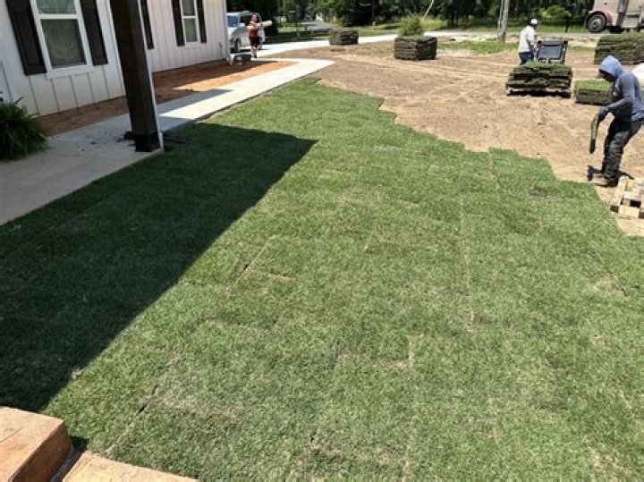 Is it too late to put down Zoysia sod?