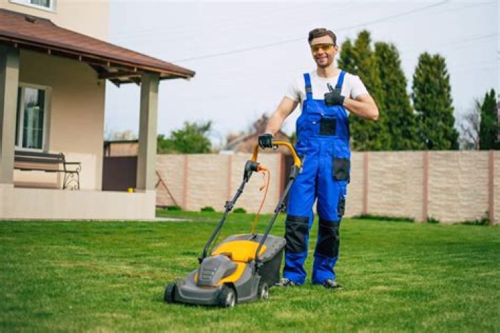 Is it worth it to hire a lawn service?