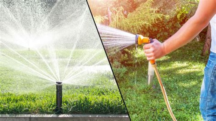Is it worth watering the lawn?
