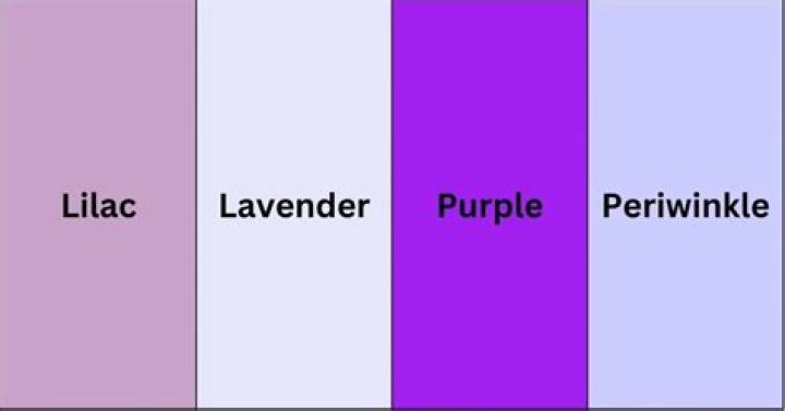 Is lilac pink or purple?