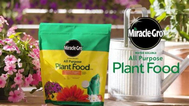 Is Miracle Grow good for crepe myrtles?