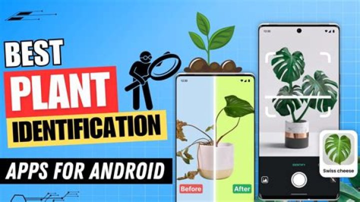 Is Picture this plant identifier app free?