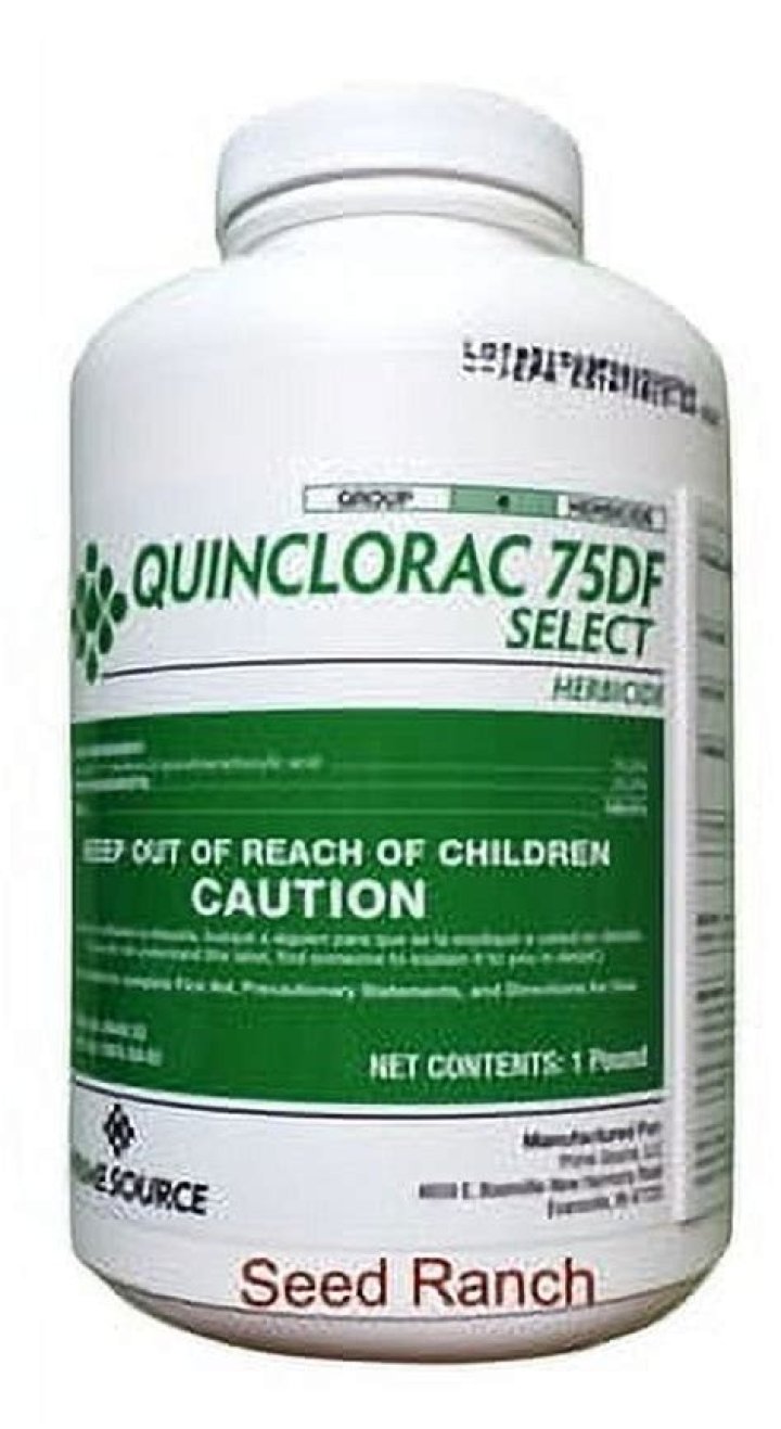 Is Quinclorac good for crabgrass?