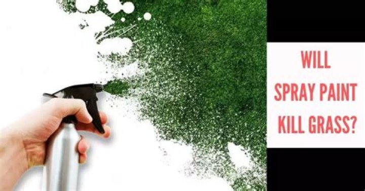 Is spray paint safe on grass?