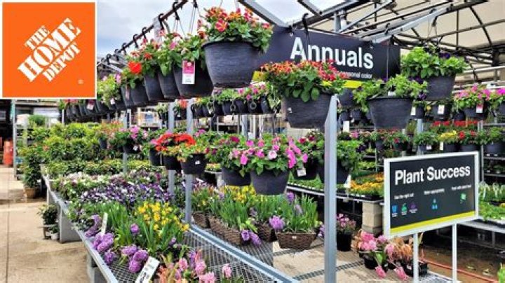 Is there a 1 year guarantee on trees at Home Depot?
