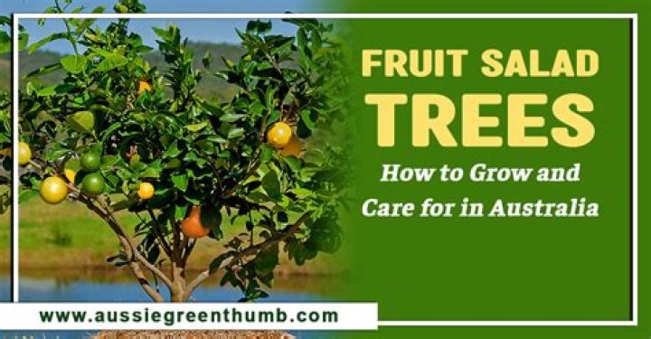 Is there a fruit salad tree in Australia?