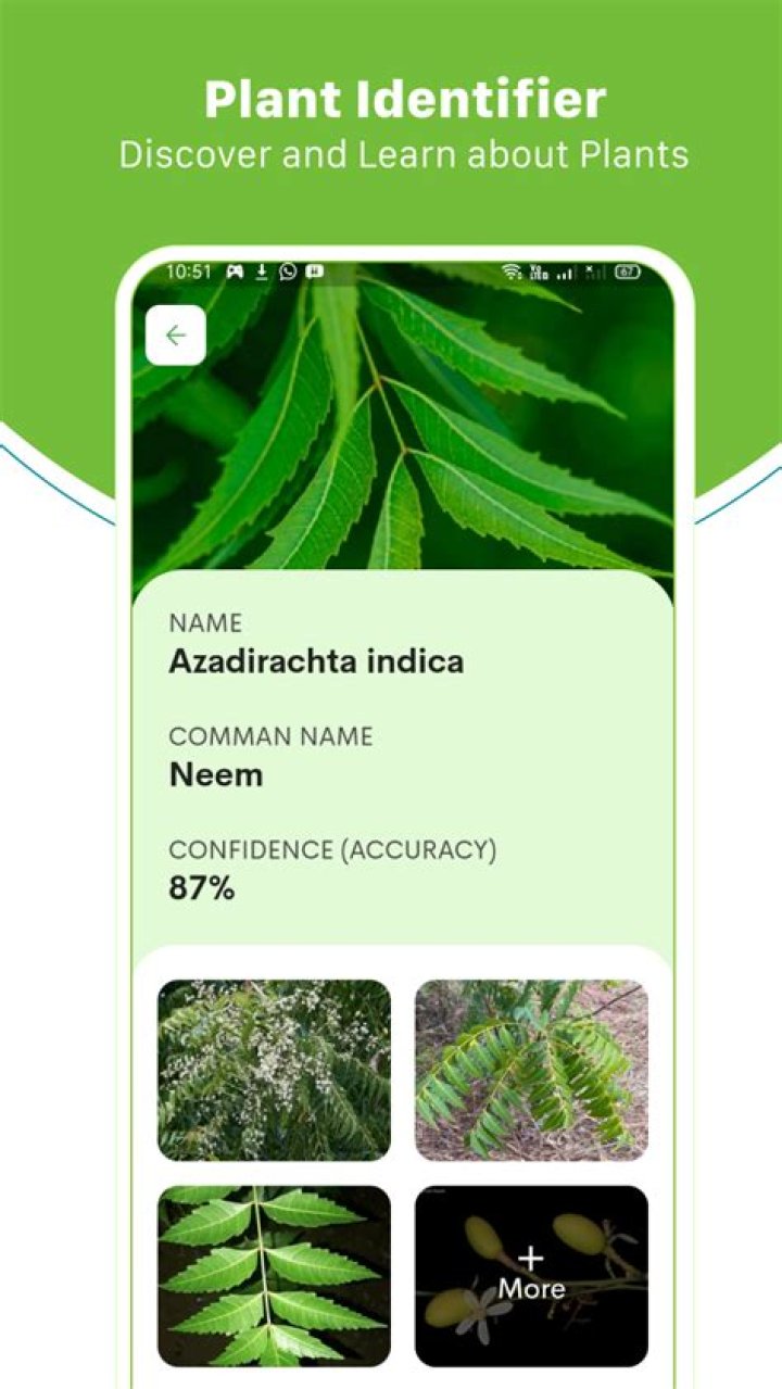 Is there an app to identify plant names?