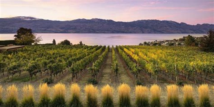 Is there real estate in the Okanagan Valley?