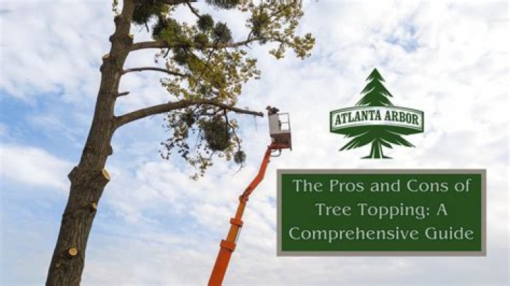 Is topping a maple tree bad?