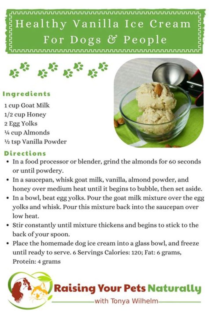 Is vanilla ice cream OK for dogs?