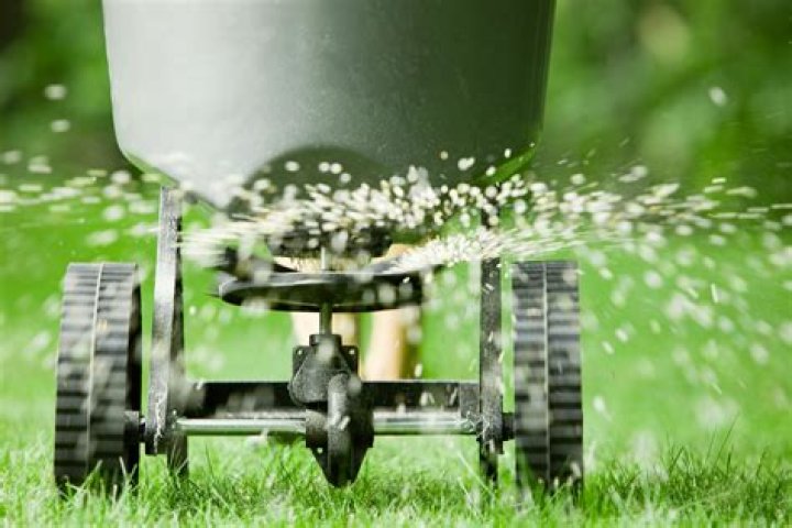Should I fertilize my lawn in the winter?