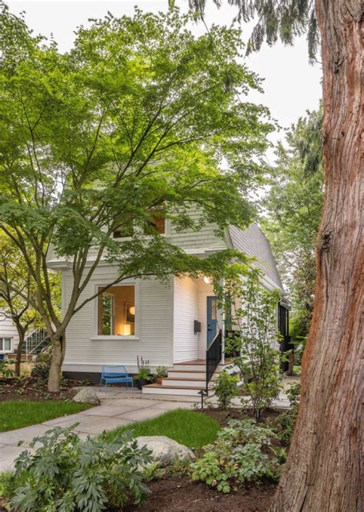 Should I plant a tree in my front yard?