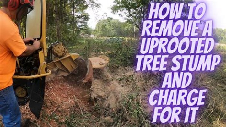 Should I remove a tree with fire blight?